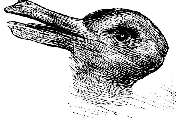 Duck or rabbit? Joseph Jastrow discovered this painting in 1900, but while it's not known who drew it, its an early version of a classic illusion.