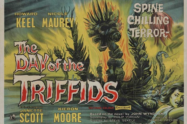 The poster for The Day of the Triffids