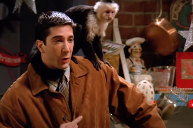 David Schwimmer