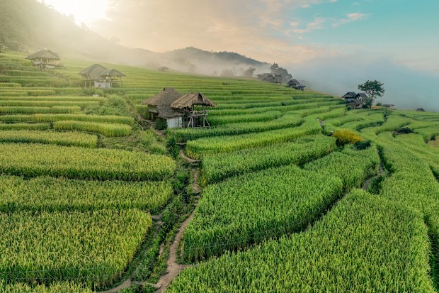 Chiang Mai, Thailand