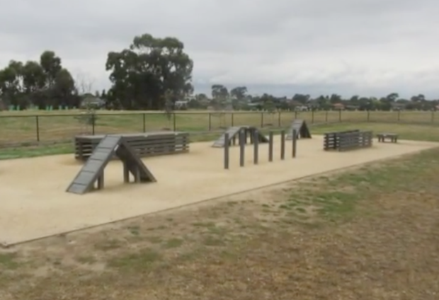 The agility course at the Green Gully Reserve Fenced Dog Park.
