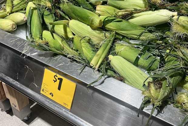 jo abi 9honey consumer reporter corn on sale recipes 