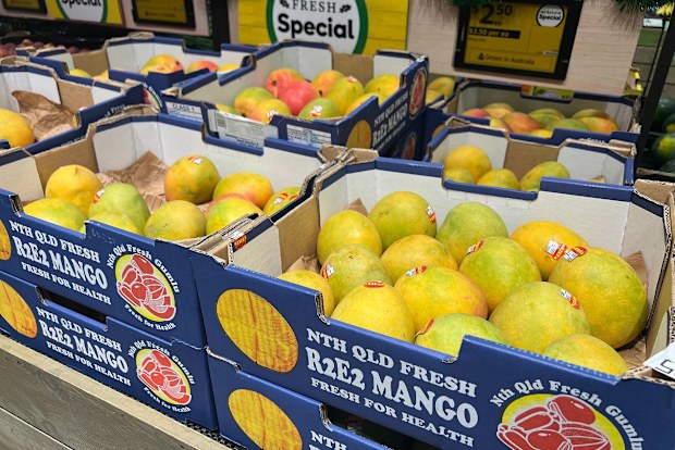Australians are torn on the best way to eat a mango | Nine.com.au