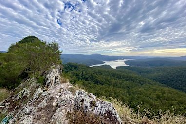 8. Pages Pinnacle (Numinbah Valley, Queensland)