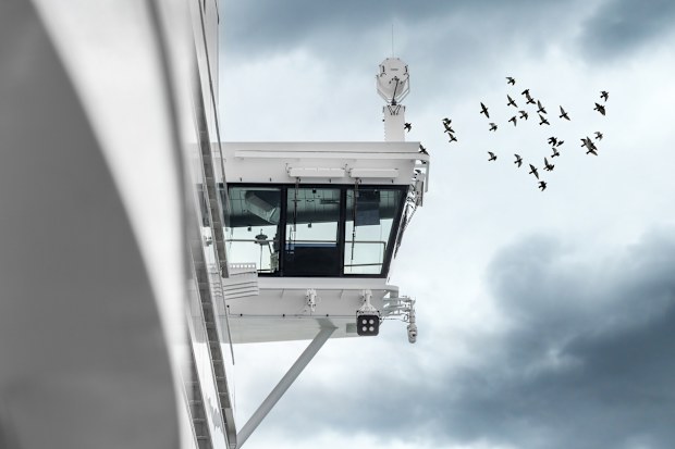 Large cruise ship captains bridge viewed from the side with flock of sea birds flying above in dramatic sky.