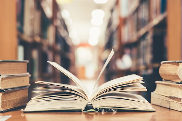 Books in a library. Stack of books. Book stack
