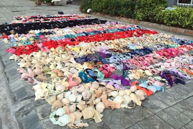 More than 2000 sets of lingerie were uncovered. (Supplied)