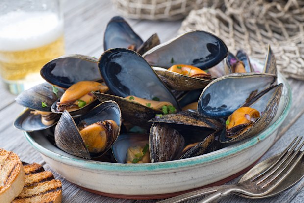 Mussels