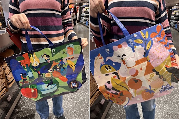 aldi shopping bags