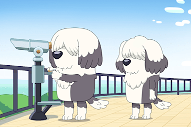 Sheepdog