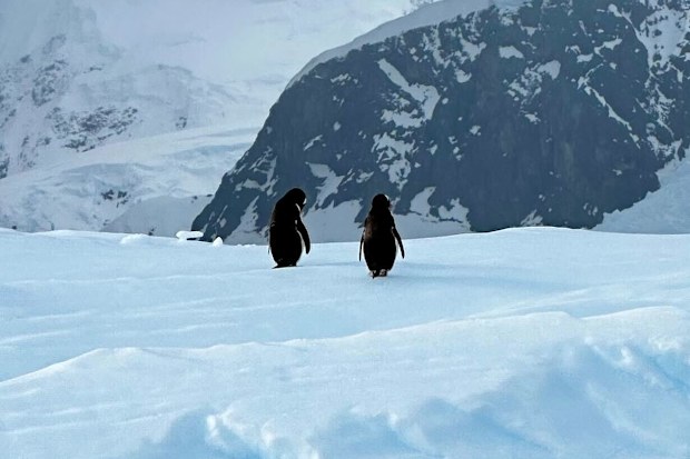 kerri elstub antarctica cruise HX