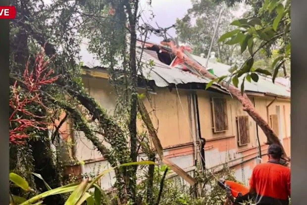 A Brisbane bakery is facing a bitter insurance dispute following a storm that left its store in ruins two months ago. 