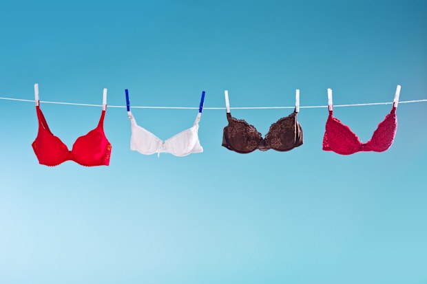 Colorful bras hanging against blue background