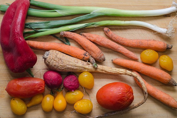 Rotten veggies vegetables stock 