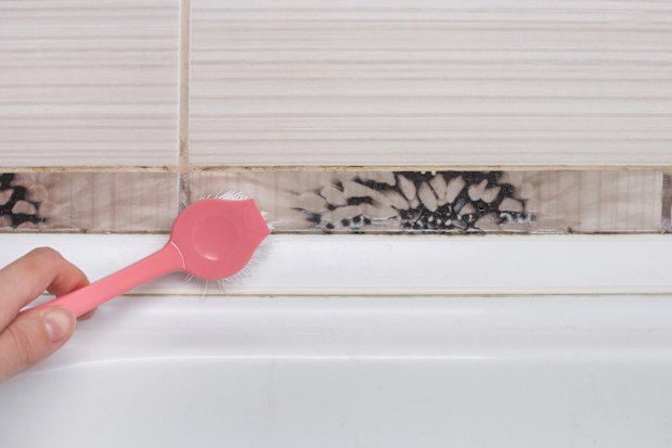 Removing mold and mildew from tile joints in the bathroom