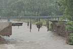 <p>A temporary bridge is set to be built over Ollera Creek on the Bruce Highway after it was destroyed in the flooding.</p>
