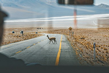 Chile