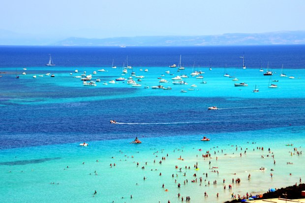Spectacular beach of La Pelosa, with its Caribbean sand and water