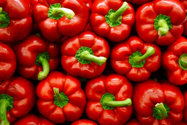 red capsicum