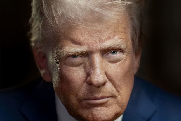 When President Donald Trump's new official portrait was unveiled Monday, it lacked two elements his predecessors had featured in their photographs dating back more than 50 years: a happy expression and an American flag in the background.