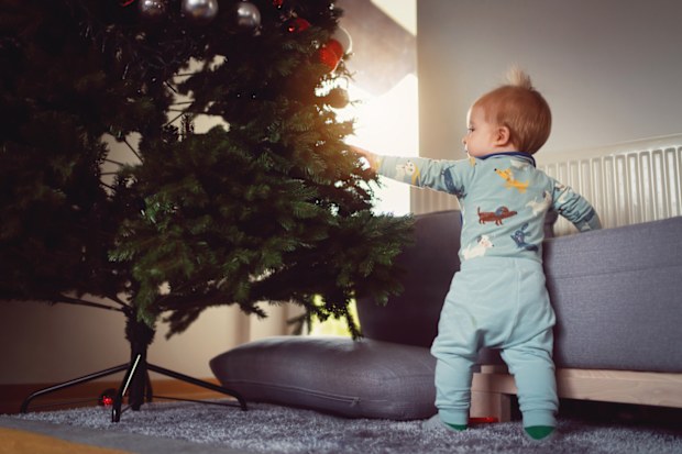 Toddler standing beside Christmas tree touching branches