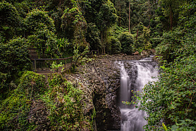 Twin Falls Circuit (Springbrook, Qld)