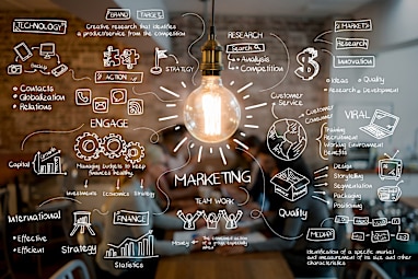 15. Marketing director
