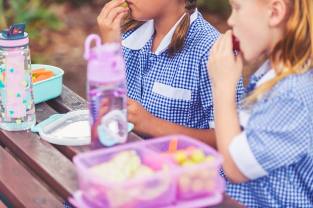 Schoolgirls eating a healthy lunch. 