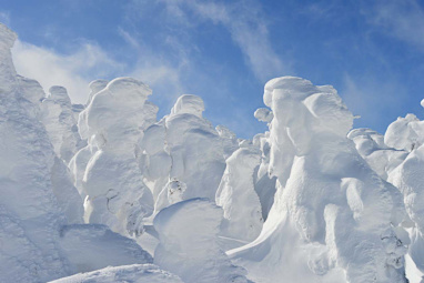 Zao Snow Monster Sightseeing 