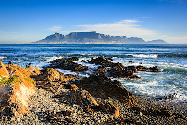 4. Cape Floral Region Protected Areas, South Africa