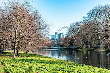 8. Lambeth