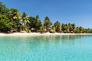 International: Fiji