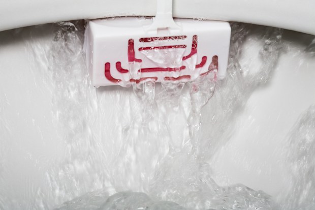 Flush toilet with toilet rim block