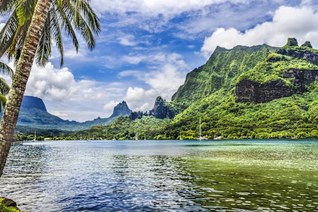 Colorful Cook's Bay Sailboats Mount Tohivea Highest Mountain Moorea Tahiti French Polynesia.