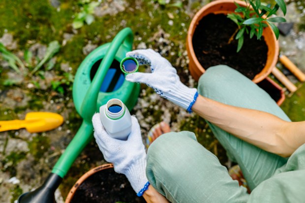 Close up of woman's hands in gloves pours liquid mineral fertiliser in watering can with water in backyard. Cultivation and caring for outdoor potted plants.