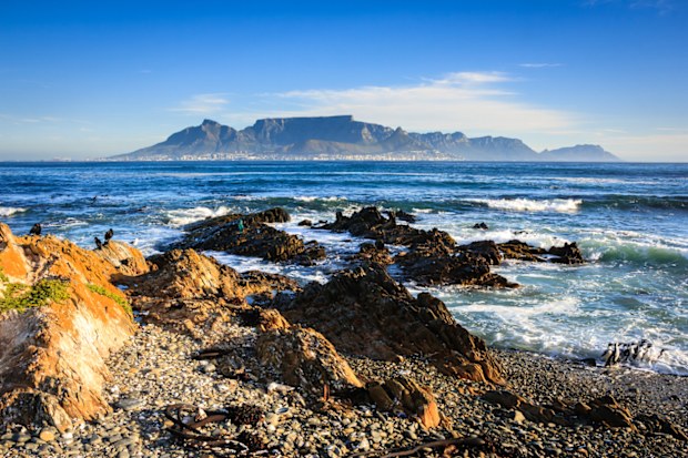 View of Cape Town and Table Mountain from Robben Island (where Nelson Mandela was imprisoned). Flock of penguins in the lower right corner of the image.