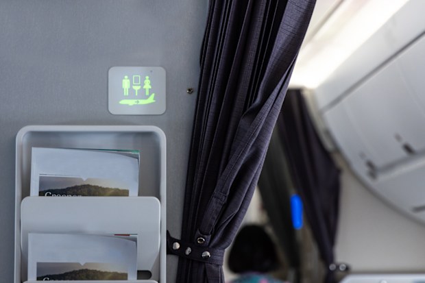Lavatory signage on airplan cabin wall lighted green suggests it is not occupied and is available.