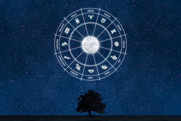 Zodiac moon