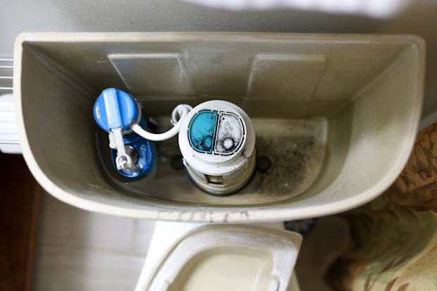 a broken toilet with black mould in tank