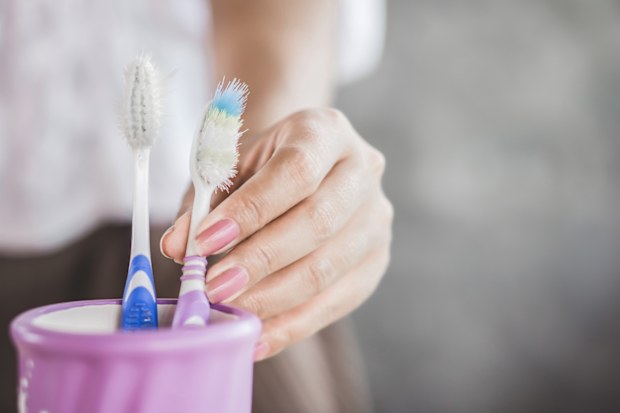 Toothbrushes in the bathroom