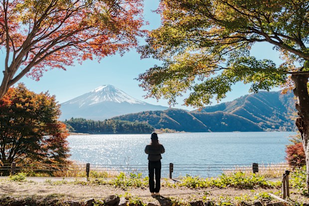 Woman tourist at Momiji Tunnel in Autumn season, happy Traveler travel in  lake Kawaguchi, Yamanashi, Japan. Landmark for tourists attraction. Japan Travel, Destination and Vacation