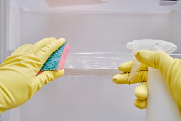 Cleaning the refrigerator with spray and a sponge