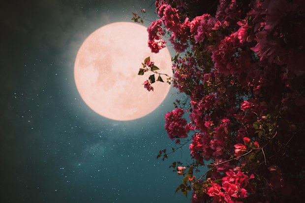 Full Moon