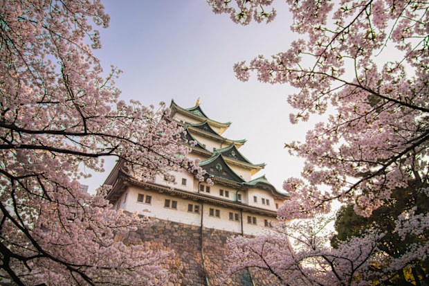 Nagoya Castle, Japan.
