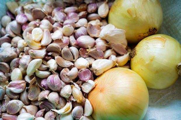 Onions and garlic are essential spices that are a must-have in almost every kitchen.
