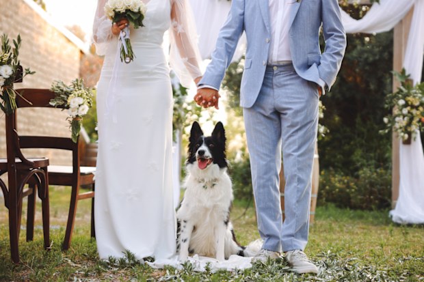 bride puts parents and dog on wedding