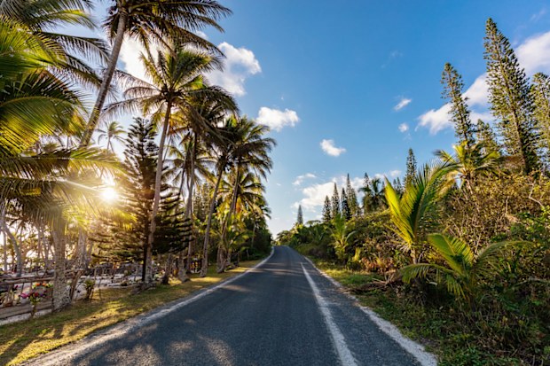 Island country road into beautiful Sunset along tropical Palm Trees in New Caledonia on Maré Island. Maré Island, Loyalty Islands, New Caledonia, Pacific Ocean Islands.