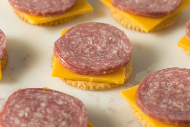 Savory Homemade Cheese Meat and Cracker Hor Dourves Ready to Eat