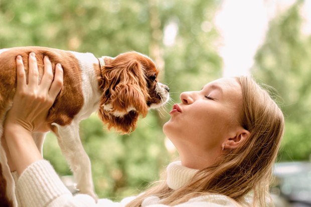 Portrait happy blonde girl with long hair holding cute Purebred puppy Cavalier King Charles Spaniel. Tree leaves on summer morning in light outdoors sun with natural blurry background, close-up