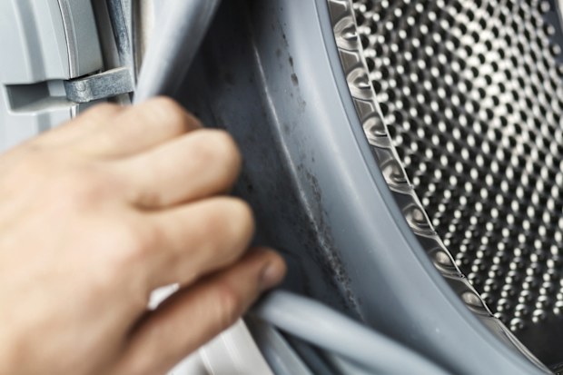 The hand shows the mould in the cuff of the washing machine